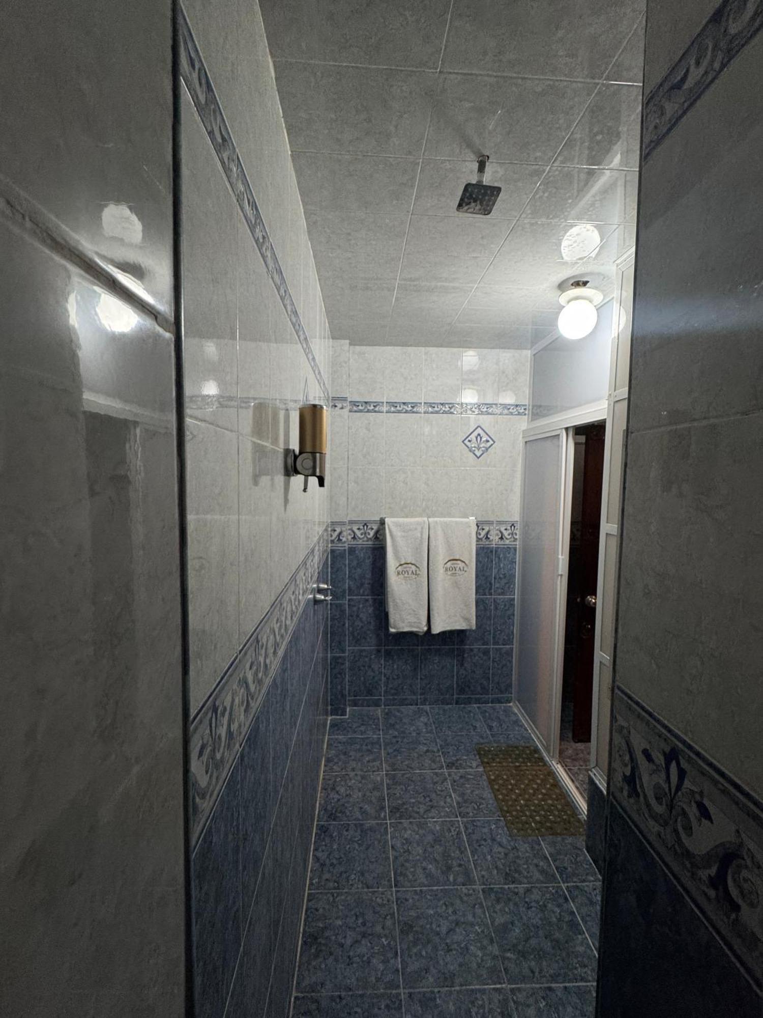 Hotel Royal Пуэбла Экстерьер фото